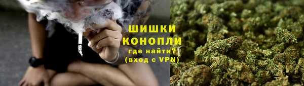 ГАЛЛЮЦИНОГЕННЫЕ ГРИБЫ Беломорск