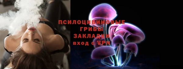apvp Белокуриха