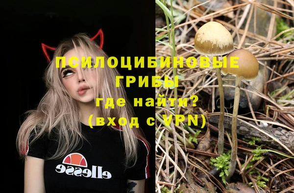 ГАЛЛЮЦИНОГЕННЫЕ ГРИБЫ Беломорск