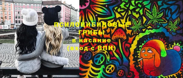 apvp Белокуриха
