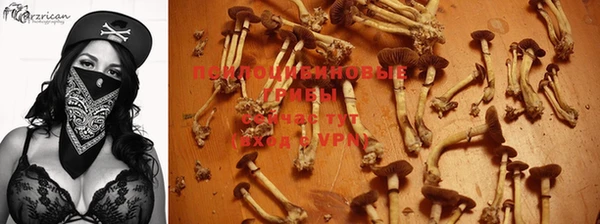 apvp Белокуриха