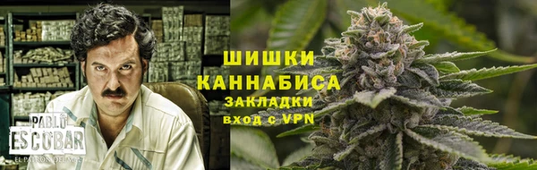 apvp Белокуриха