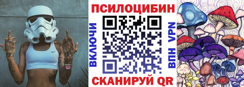 Псилоцибиновые грибы MAGIC MUSHROOMS  Купить закладки  Кувшиново 